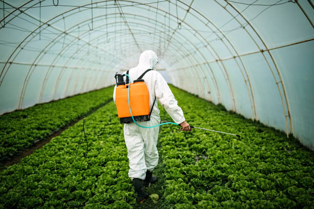 Best Affordable Pest Control Services  in Gumlog, GA