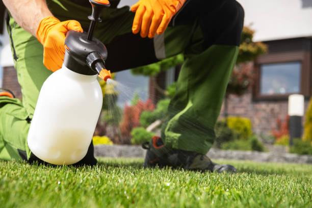 Best Best Pest Control Companies  in Gumlog, GA