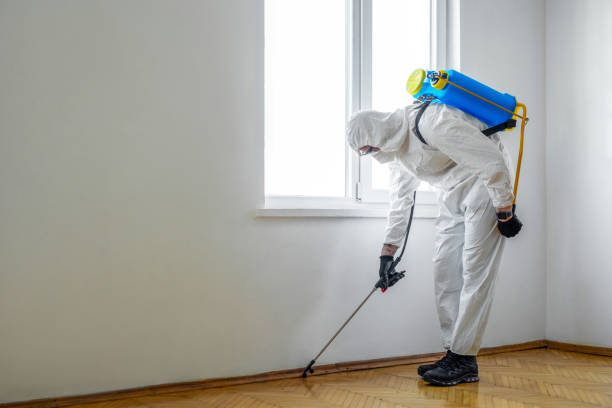 Wasp Removal Services in Gumlog, GA