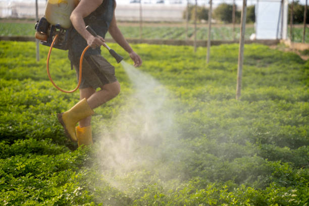 Best Residential Pest Control  in Gumlog, GA