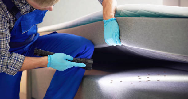 Best Bed Bug Extermination  in Gumlog, GA