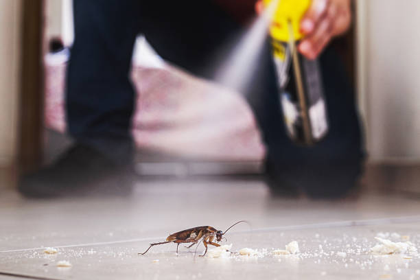 Best Termite Control Services  in Gumlog, GA