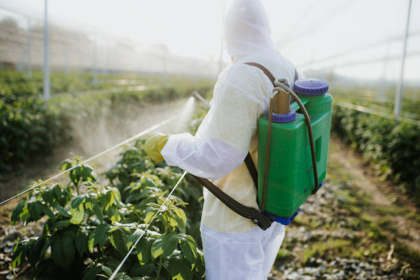 Best Best Pest Control Companies  in Gumlog, GA